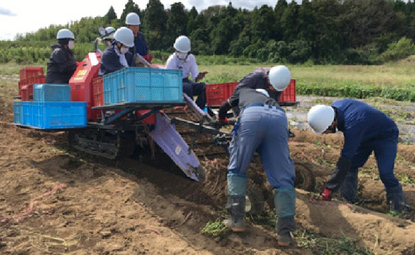 農業再生に向けた協力